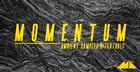 Momentum - Ambient Samples & Textures