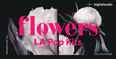 Big fish audio flowers banner artwork