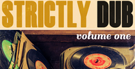 Renegade audio strictly dub volume one banner artwork