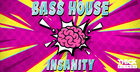 Bass House Insanity