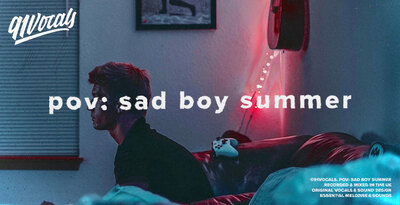 91vocals pov sad boy summer banner