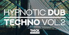 Hypnotic Dub Techno Vol. 2