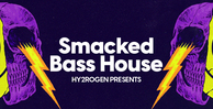 Hy2rogen smacked bass house banner