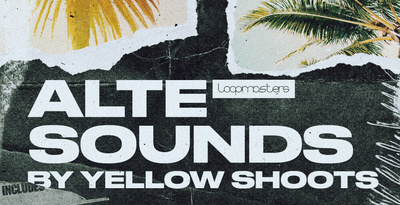 Royalty free alte samples  african samples  bongo and shaker loops  laid back guitar loops  alte drum loops  yellow shoots music at loopmasters.com rectangle