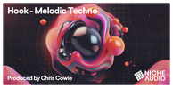 Niche audio hook melodic techno banner