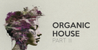 Bingoshakerz - Organic House 2