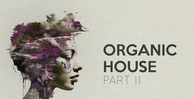 Bingoshakerz organic house 2 banner
