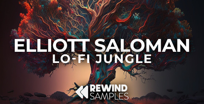 Rewind Samples Elliott Saloman: Lo-Fi Jungle