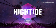 Big fish audio high tide banner