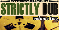Renegade audio strictly dub volume 2 banner