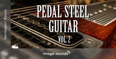 Image sounds pedal steel guitar 2 banner