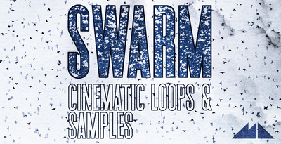 Modeaudio swarm banner