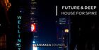 Future & Deep House - Spire Presets