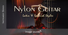 Nylon Guitar - Latin & Spanish Styles