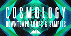 Cosmology - Downtempo Loops & Samples