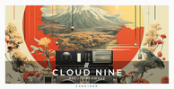 Zenhiser cloud nine banner