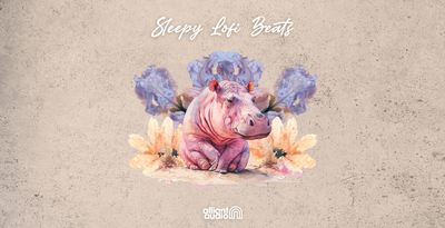 Alliant audio sleepy lofi beats banner