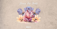 Alliant audio sleepy lofi beats banner