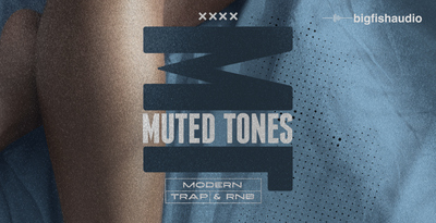 Big fish audio muted tones banner