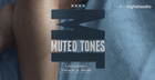 Muted Tones: Modern Trap & RnB