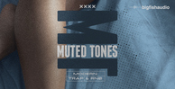 Big fish audio muted tones banner