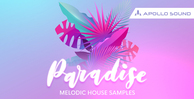 Apollo sound paradise melodic house banner