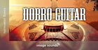 Dobro Guitar