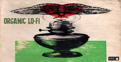 Bfractal music organic lofi banner