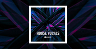 Toolroom house vocals volume 2 banner