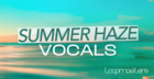 Summer Haze Vocals