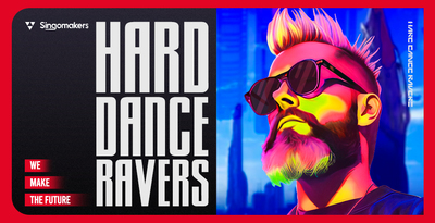 Singomakers hard dance ravers banner