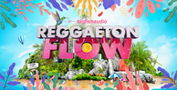 Big fish audio reggaeton flow banner