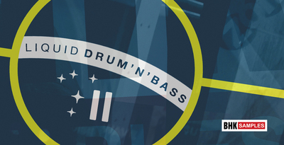 Industrial strength bhk samples liquid drum   bass 2 banner