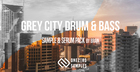 Brain - Grey City Drum & Bass