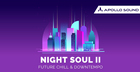 NightSoul 2 - Future Chill & Downtempo