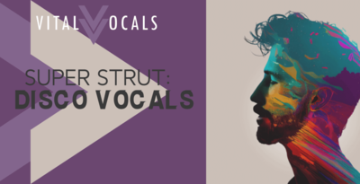 Super Strut - Disco Vocals Vol 1 by Vital Vocals