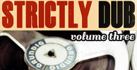 Renegade audio strictly dub volume 3 banner