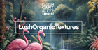 CallumCantSleep - Lush Organic Textures