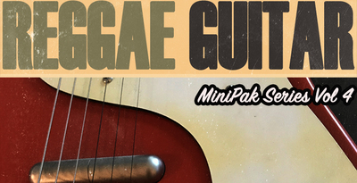 Renegade audio minipak series volume 4 reggae guitar banner