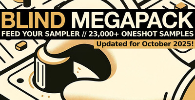 Fys 1000x512 loopmasters