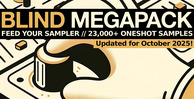 Fys 1000x512 loopmasters