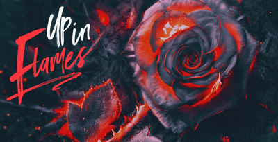 Producer loops up in flames banner