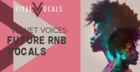 Velvet Voices - Future RnB Vocals