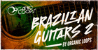 Brazilian Guitars 2