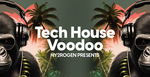 Hy2rogen tech house voodoo banner