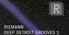 Riemann Deep Detroit Grooves 1