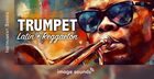 Trumpet - Latin & Reggaeton