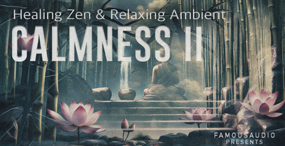 Famous audio calmness volume 2 banner