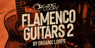 Royalty free flamenco guitar samples  latin american samples  flamenco guitar loops  latin guitar loops  acoustic guitar loops  rumba music samples at loopmasters.com rectangle