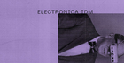 Electronica IDM
